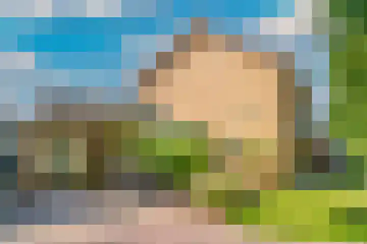 Doctor Schaepmanlaan 57 Beek thumbnail 31