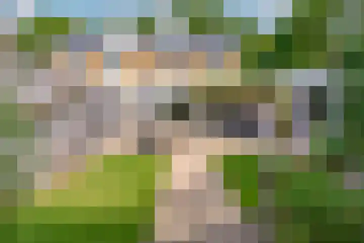 Doctor Schaepmanlaan 57 Beek thumbnail 35