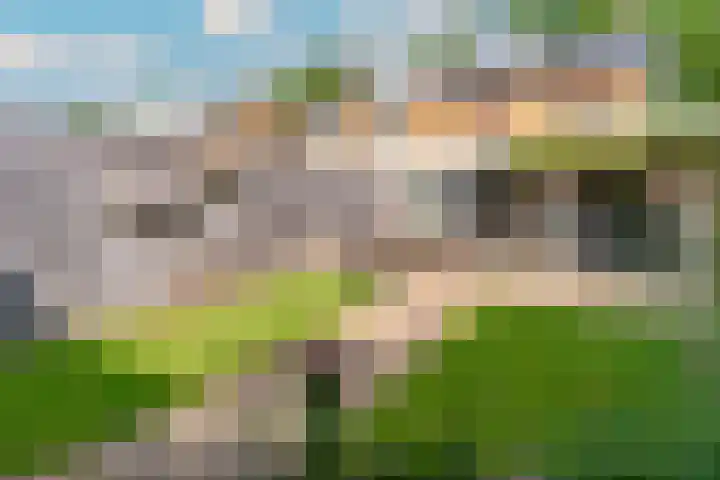 Doctor Schaepmanlaan 57 Beek thumbnail 36