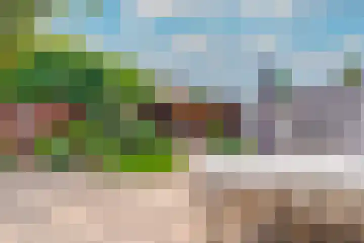 Doctor Schaepmanlaan 57 Beek thumbnail 38