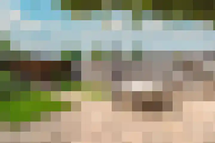 Doctor Schaepmanlaan 57 Beek thumbnail 39