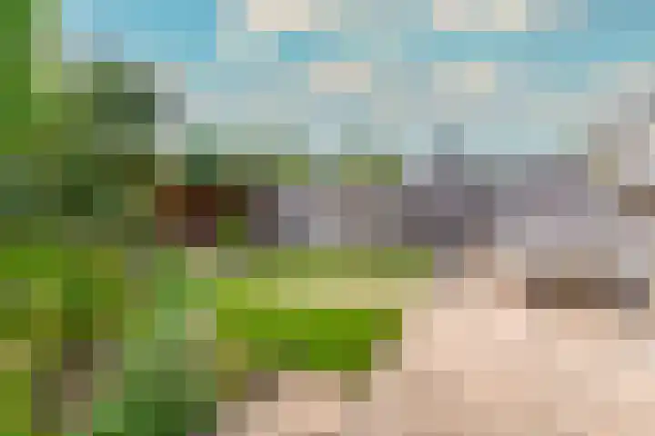 Doctor Schaepmanlaan 57 Beek thumbnail 41