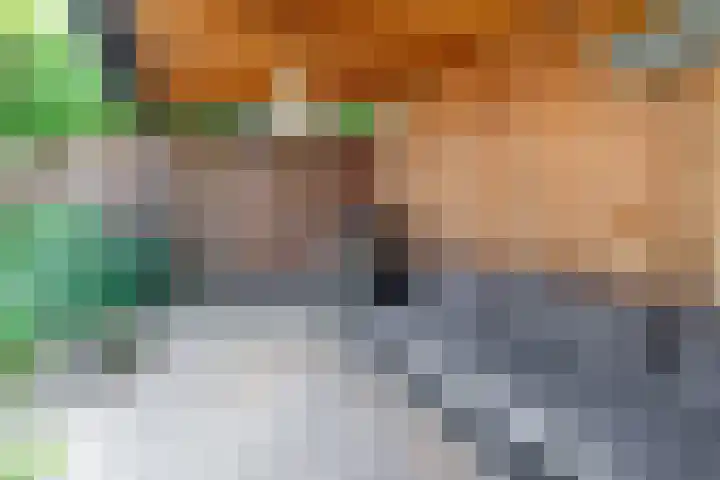 Doctor Schaepmanlaan 57 Beek thumbnail 42