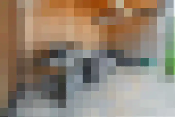 Doctor Schaepmanlaan 57 Beek thumbnail 43