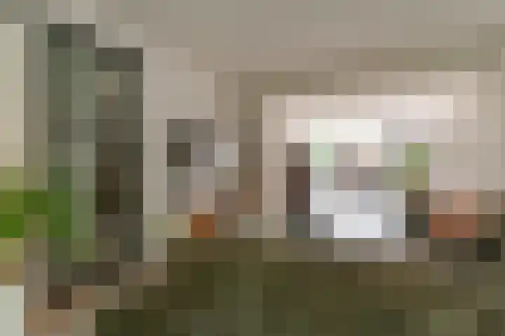 Doctor Schaepmanlaan 57 Beek thumbnail 5