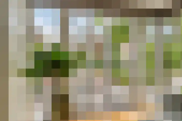 Doctor Schaepmanlaan 8 Driebergen-Rijsenburg thumbnail 15
