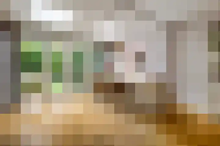 Doctor Schaepmanlaan 8 Driebergen-Rijsenburg thumbnail 17