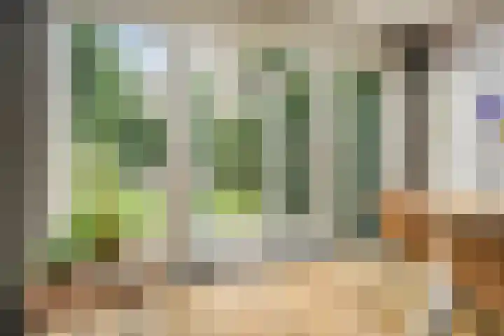 Doctor Schaepmanlaan 8 Driebergen-Rijsenburg thumbnail 19