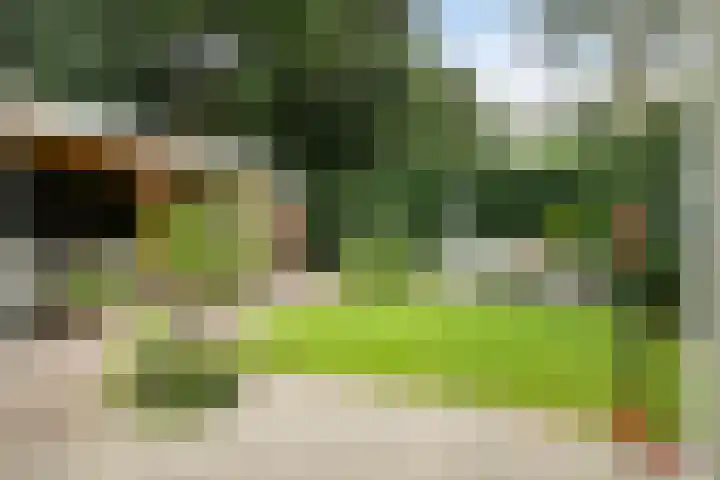 Doctor Schaepmanlaan 8 Driebergen-Rijsenburg thumbnail 24