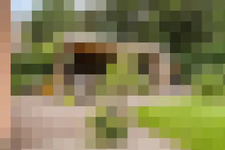 Doctor Schaepmanlaan 8 Driebergen-Rijsenburg thumbnail 25