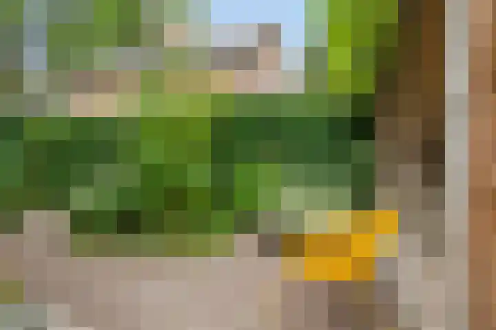 Doctor Schaepmanlaan 8 Driebergen-Rijsenburg thumbnail 26