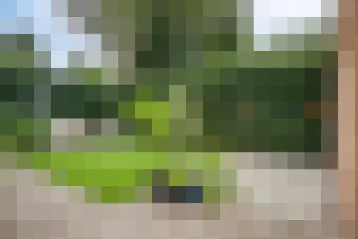 Doctor Schaepmanlaan 8 Driebergen-Rijsenburg thumbnail 27