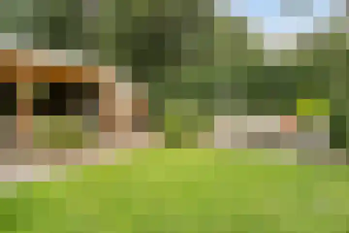 Doctor Schaepmanlaan 8 Driebergen-Rijsenburg thumbnail 28