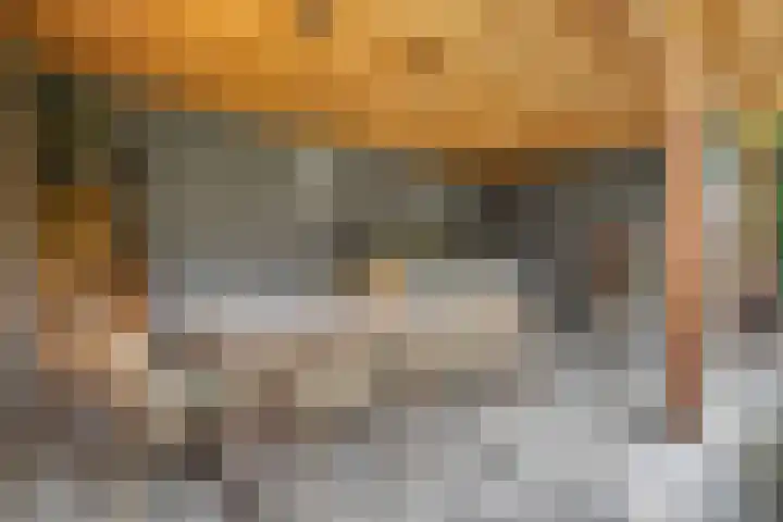 Doctor Schaepmanlaan 8 Driebergen-Rijsenburg thumbnail 31