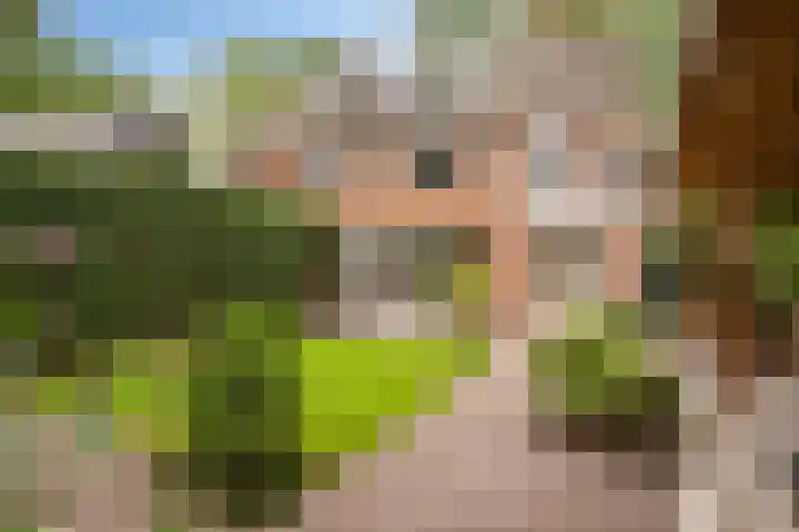 Doctor Schaepmanlaan 8 Driebergen-Rijsenburg thumbnail 32