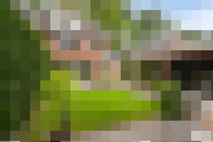 Doctor Schaepmanlaan 8 Driebergen-Rijsenburg thumbnail 33