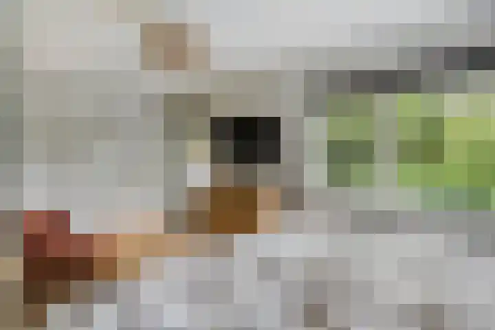 Doctor Schaepmanlaan 8 Driebergen-Rijsenburg thumbnail 36