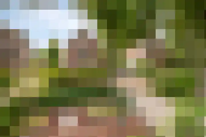Doctor Schaepmanlaan 8 Driebergen-Rijsenburg thumbnail 44