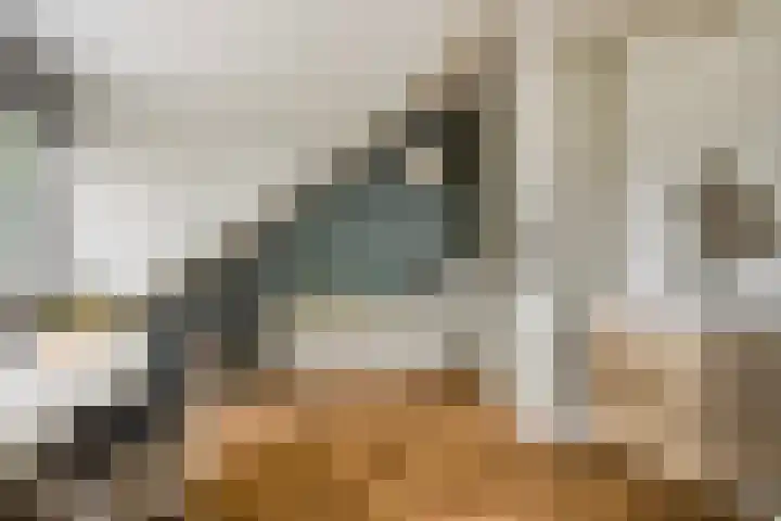 Doctor Schaepmanlaan 8 Driebergen-Rijsenburg thumbnail 48