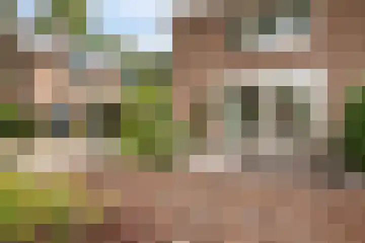 Doctor Schaepmanlaan 8 Driebergen-Rijsenburg thumbnail 5