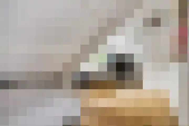 Doctor Schaepmanlaan 8 Driebergen-Rijsenburg thumbnail 51