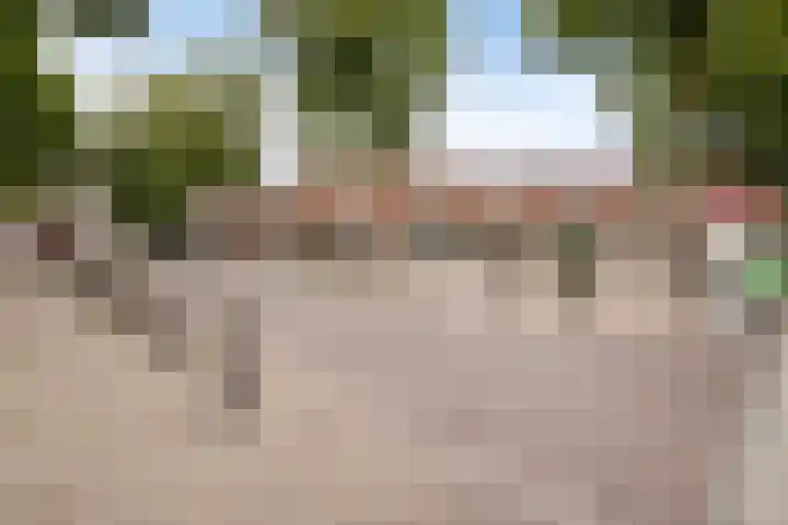 Doctor Schaepmanlaan 8 Driebergen-Rijsenburg thumbnail 54