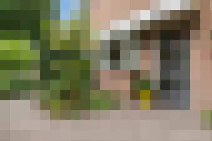 Doctor Schaepmanlaan 8 Driebergen-Rijsenburg thumbnail 6