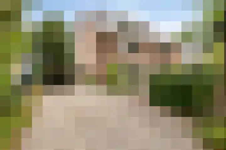 Doctor Schaepmanlaan 8 Driebergen-Rijsenburg thumbnail 60