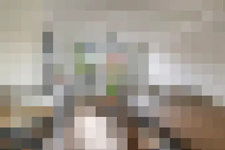 Doctor Schaepmanstraat 11 Silvolde thumbnail 18