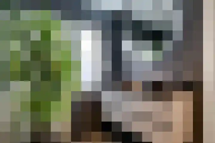 Doctor Schaepmanstraat 11 Silvolde thumbnail 4