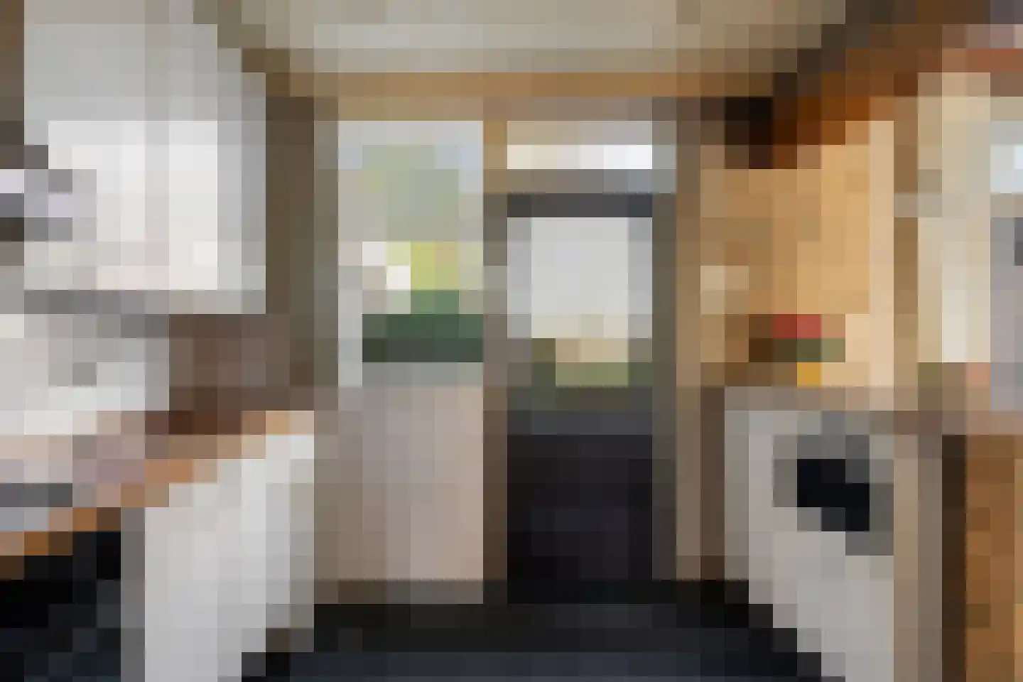 Doctor Schaepmanstraat 16 Kaatsheuvel thumbnail 11