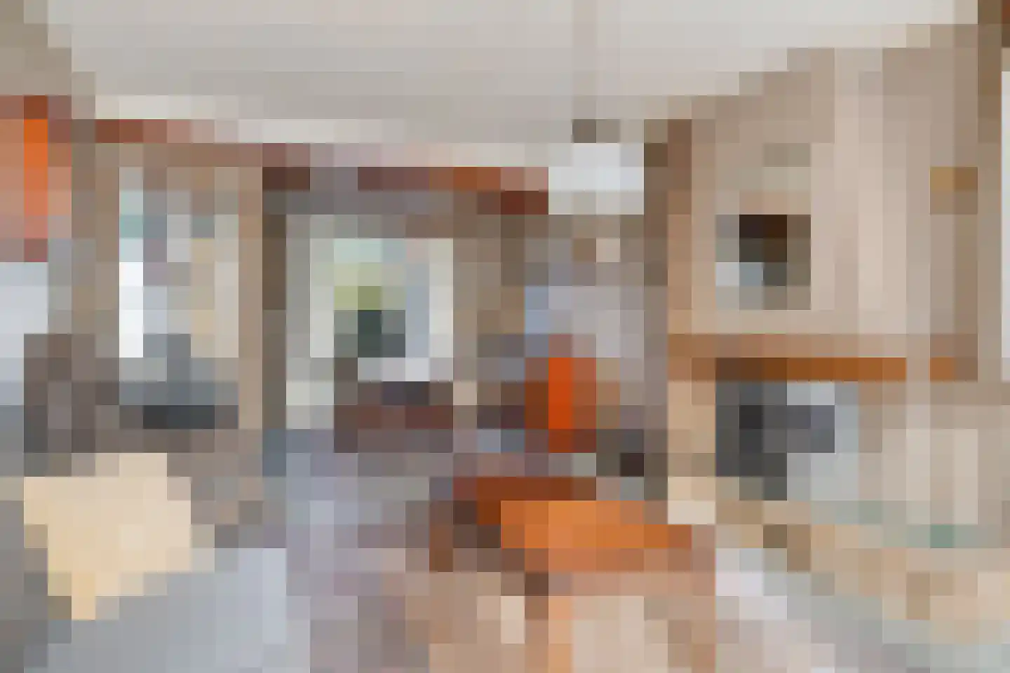 Doctor Schaepmanstraat 16 Kaatsheuvel thumbnail 6