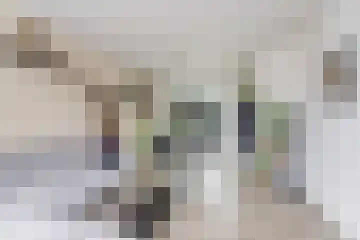 Doctor Schaepmanstraat 17 Silvolde thumbnail 6