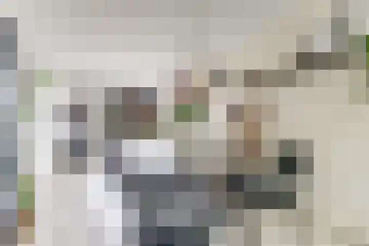 Doctor Schaepmanstraat 17 Silvolde thumbnail 8