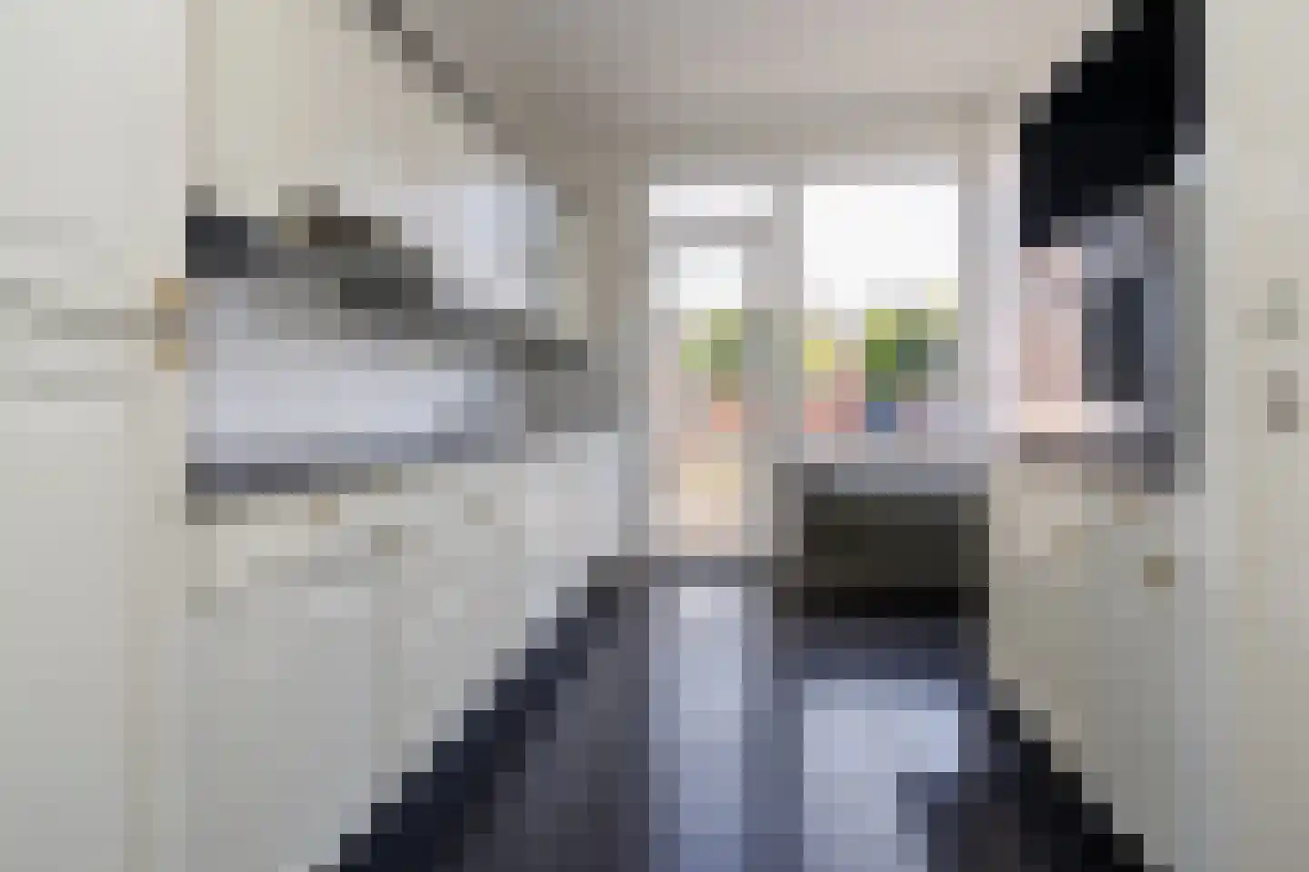 Doctor Schaepmanstraat 35 Stramproy thumbnail 11