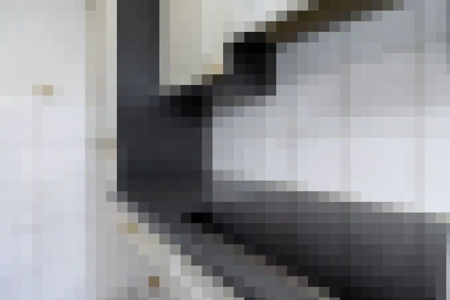 Doctor Schaepmanstraat 35 Stramproy thumbnail 13