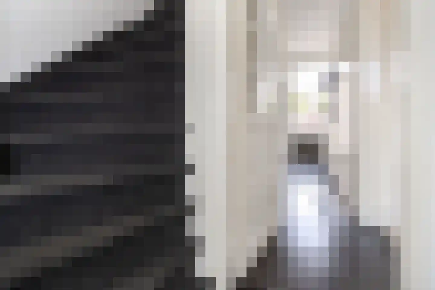 Doctor Schaepmanstraat 35 Stramproy thumbnail 15