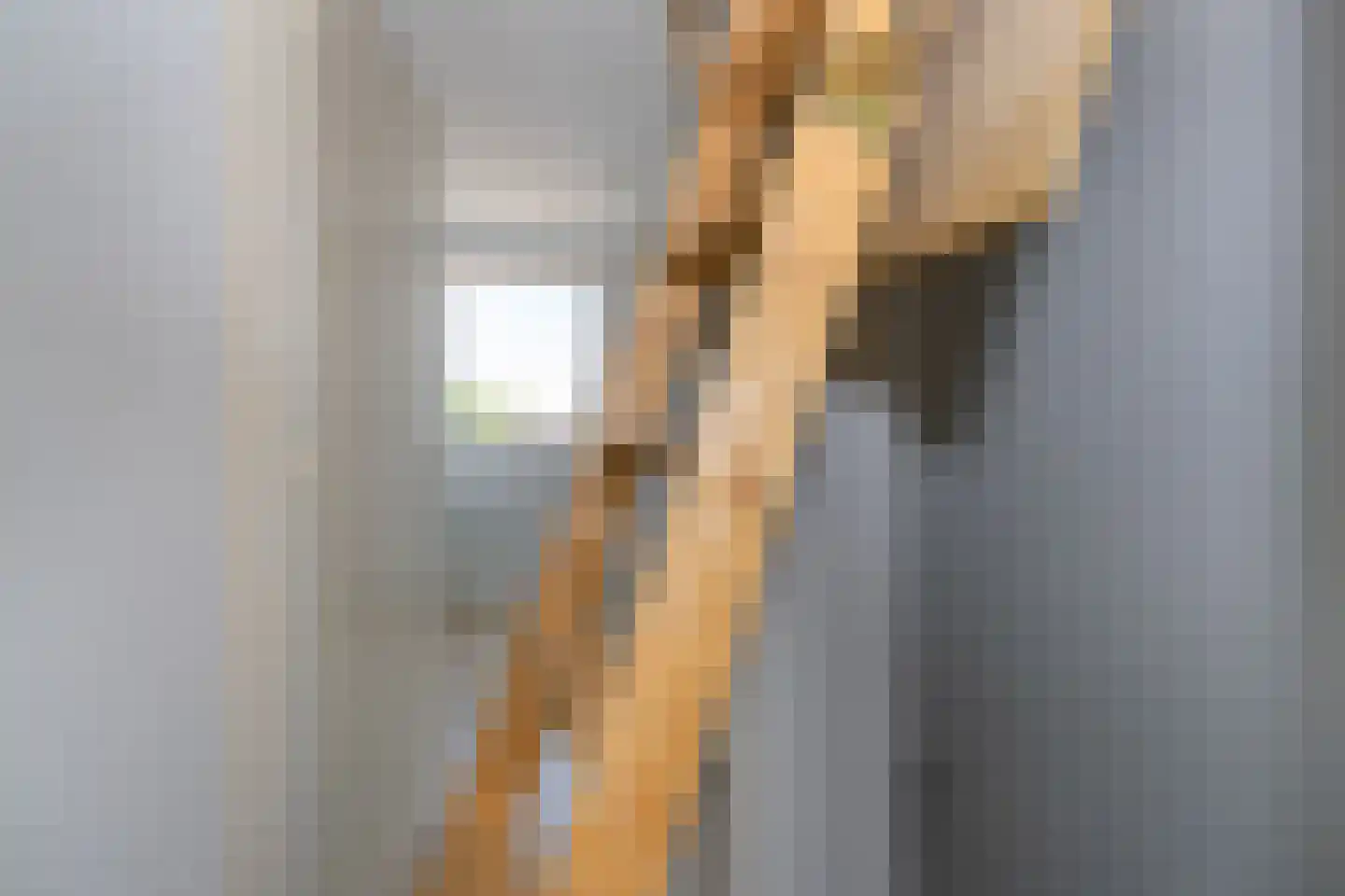 Doctor Schaepmanstraat 35 Stramproy thumbnail 25