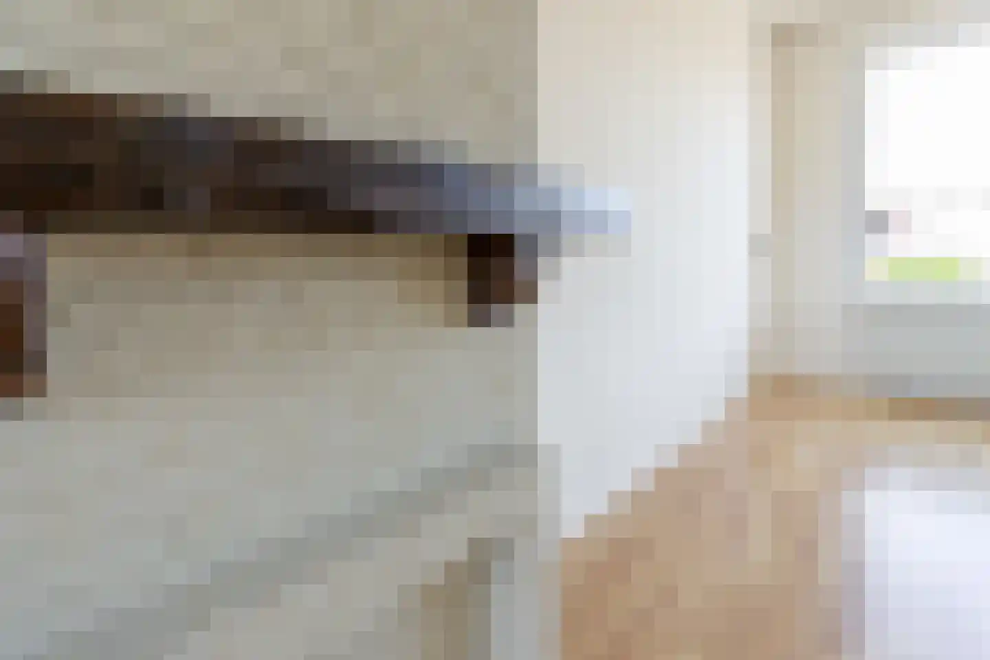 Doctor Schaepmanstraat 35 Stramproy thumbnail 9