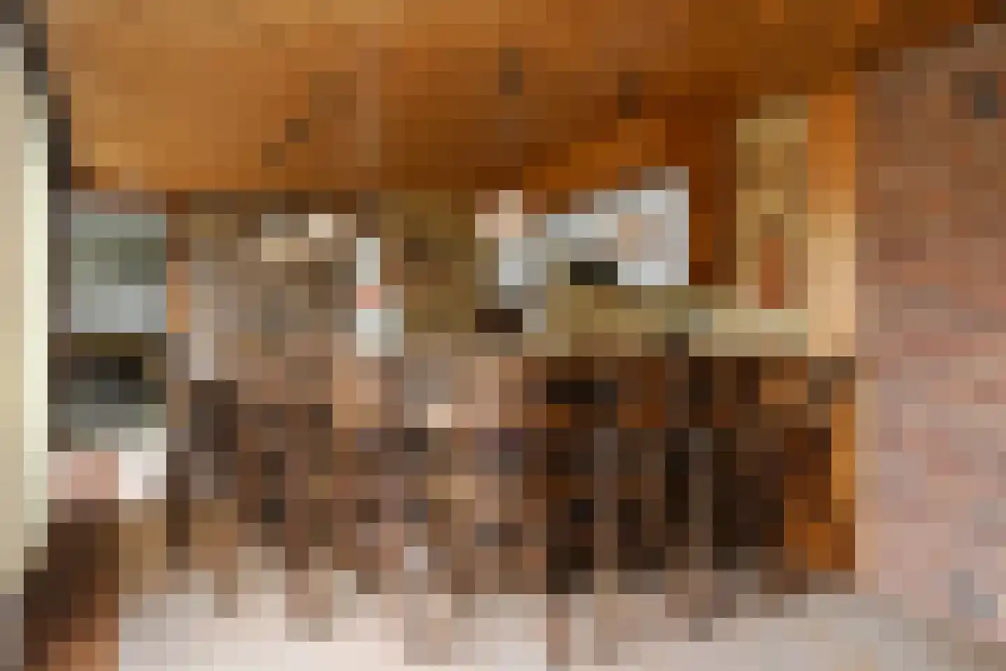 Doctor Schaepmanstraat 52 Stramproy thumbnail 14