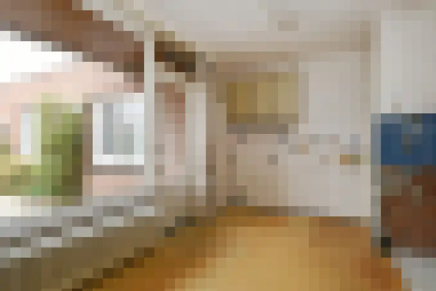 Doctor Schaepmanstraat 52 Stramproy thumbnail 16