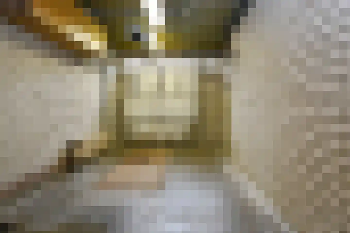 Doctor Schaepmanstraat 52 Stramproy thumbnail 25