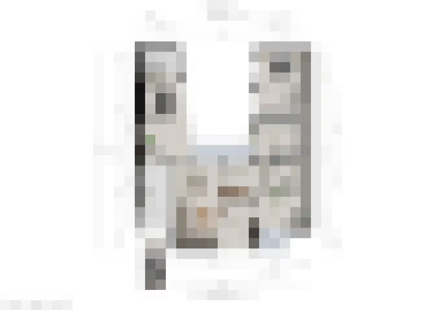 Doctor Schaepmanstraat 52 Stramproy thumbnail 31