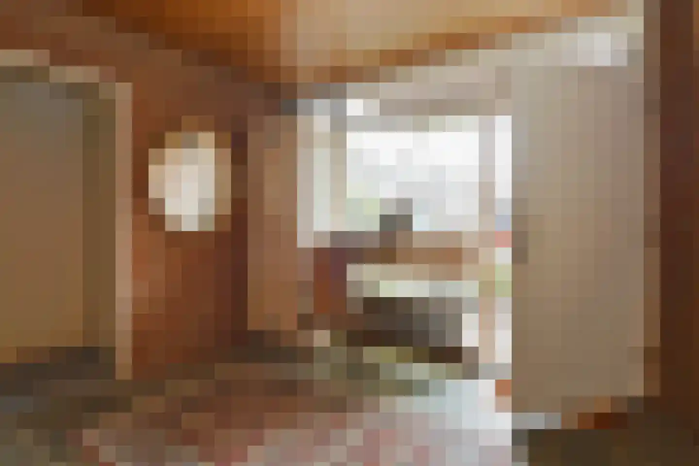 Doctor Schaepmanstraat 52 Stramproy thumbnail 5