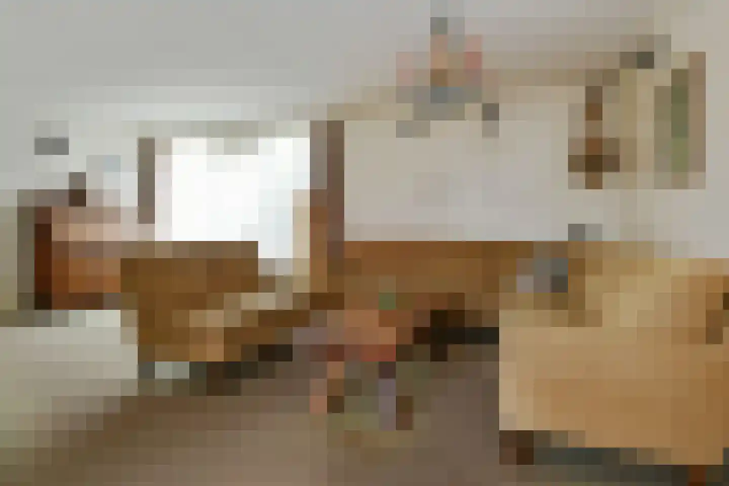 Doctor Schaepmanstraat 52 Stramproy thumbnail 7
