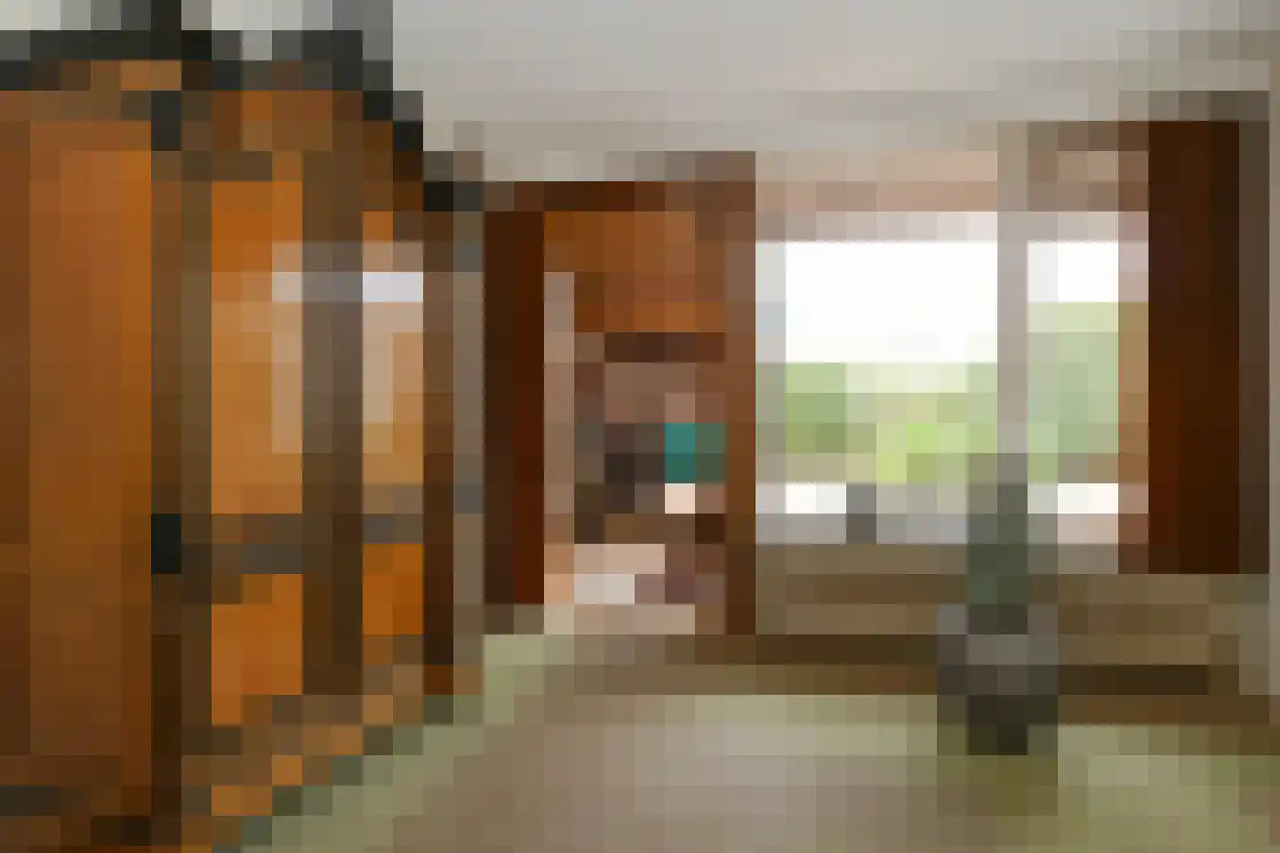 Doctor Schaepmanstraat 52 Stramproy thumbnail 9