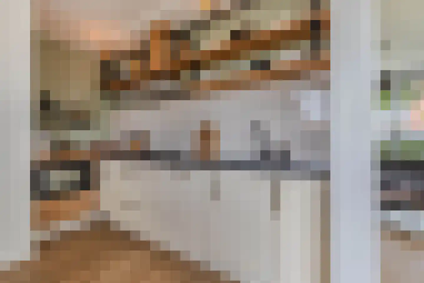 Doctor Sipcke Stapertstrjitte 13 Wommels thumbnail 16