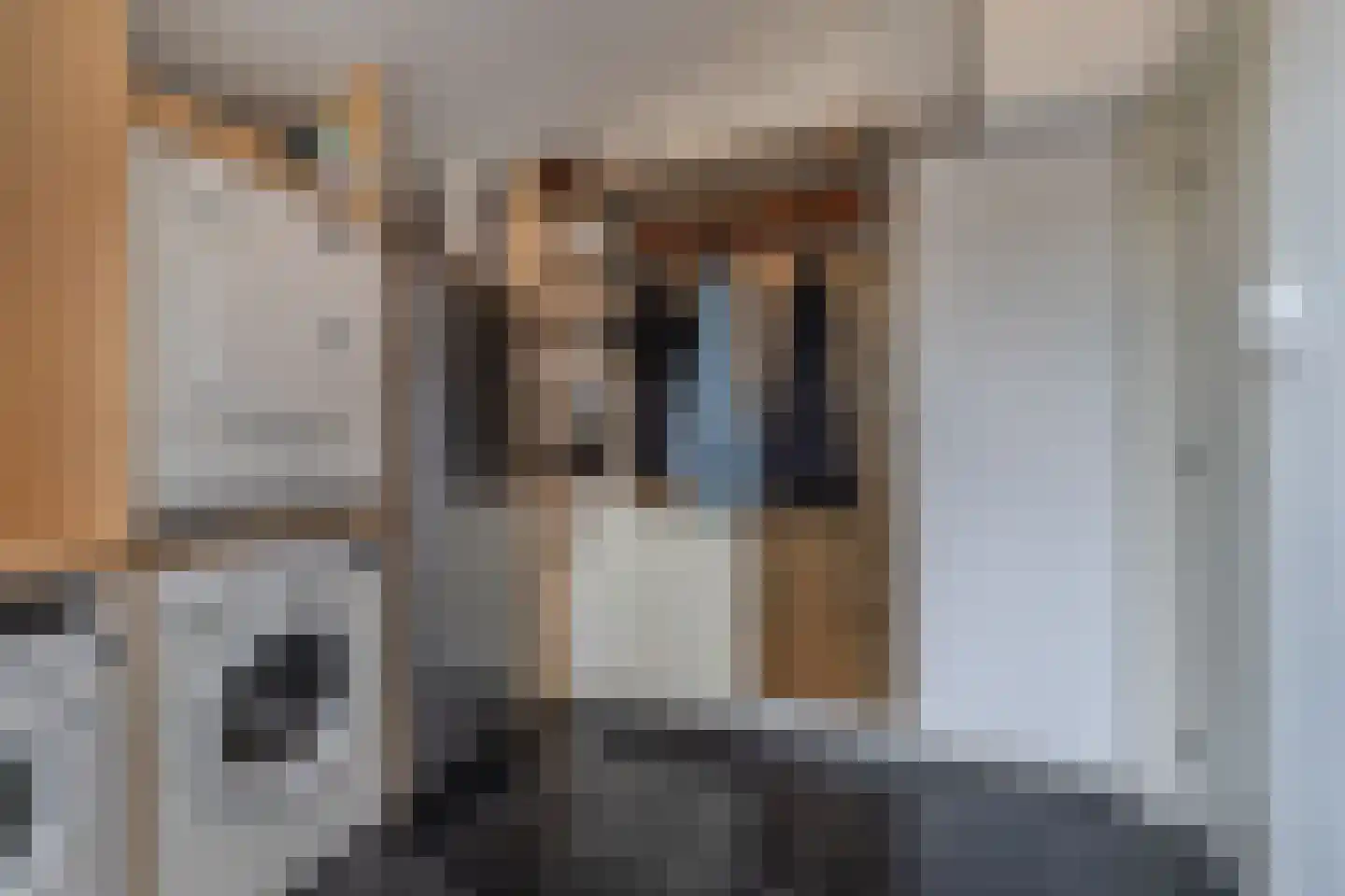 Doctor Sipcke Stapertstrjitte 13 Wommels thumbnail 20