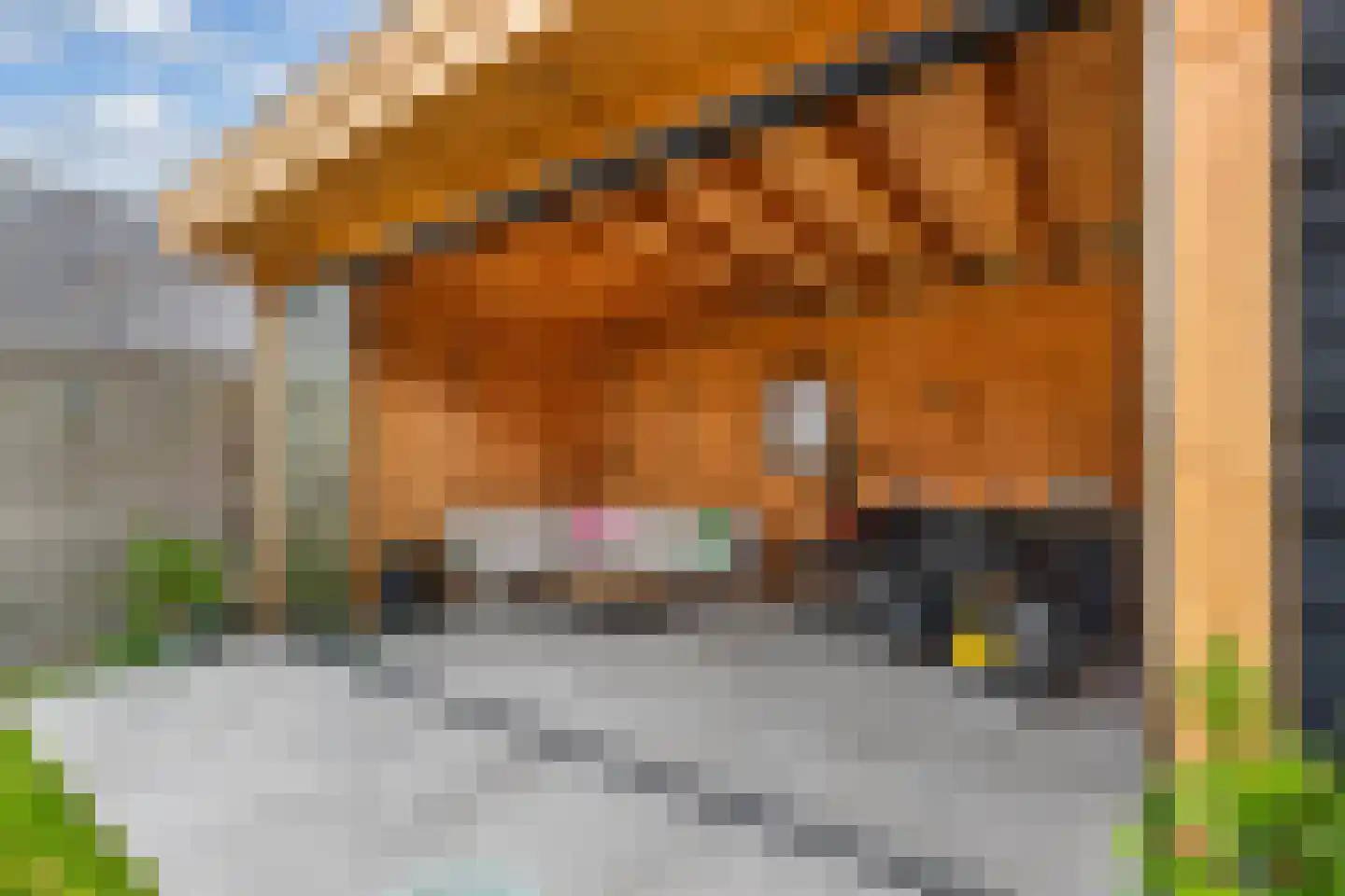 Doctor Sipcke Stapertstrjitte 13 Wommels thumbnail 35