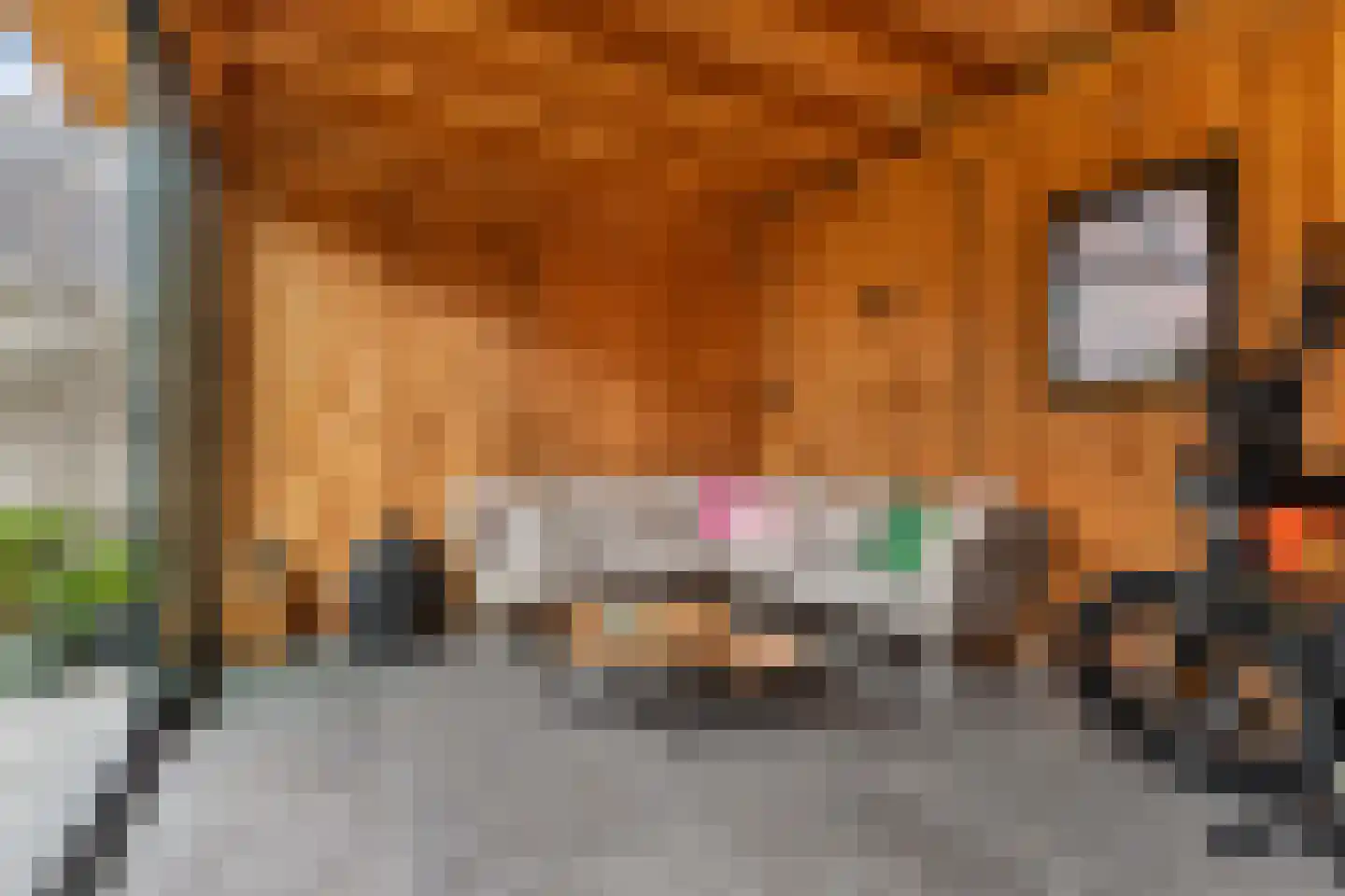 Doctor Sipcke Stapertstrjitte 13 Wommels thumbnail 36
